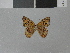  ( - LCB0015)  @12 [ ] Copyright (2011) Christian Brevignon Research collection of L. and C. Brevignon