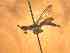  ( - BFIB-0045)  @12 [ ] Unspecified (default): All Rights Reserved  Unspecified Unspecified