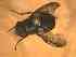  ( - BFIB-0072)  @13 [ ] Unspecified (default): All Rights Reserved  Unspecified Unspecified