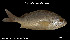  ( - Hau_TEJ3675)  @11 [ ] Unspecified (default): All Rights Reserved (2023) Invemar Invemar-BEM