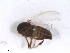  ( - BIOUG01780-A11)  @13 [ ] CreativeCommons - Attribution (2012) CBG Photography Group Centre for Biodiversity Genomics
