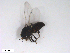  ( - BIOUG01780-E12)  @13 [ ] CreativeCommons - Attribution (2012) CBG Photography Group Centre for Biodiversity Genomics