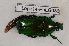  ( - Lope14-PhLG036)  @12 [ ] CreativeCommons - Attribution Non-Commercial Share-Alike (2014) ECODIV Univ Rouen