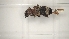  ( - BGE_00084_F04)  @11 [ ] CreativeCommons  Attribution by Achilleas Kaltsidis (2028) Achilleas Katlsidis Hellenic Agricultural Organization "DEMETER" Forest Research Institute Vasilika 57006, Thessaloniki Greece