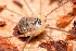  ( - BGE_00083_B12)  @11 [ ] Copyright © (2025) Eleftherios Katsillis -