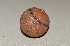  ( - BGE_00083_G10)  @11 [ ] Copyright © (2025) Savvas Zafeiriou -