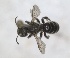  ( - RMNH.INS.1148902)  @11 [ ] by-nc-sa (2024) Unspecified Naturalis Biodiversity Centre