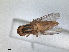  ( - RMNH.INS.1531180)  @11 [ ] by-nc-sa (2023) Unspecified Naturalis Biodiversity Centre