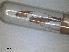  ( - RMNH.INS.1531188)  @11 [ ] by-nc-sa (2023) Unspecified Naturalis Biodiversity Centre