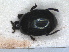  (Chalcionellus decemstriatus - RMNH.INS.1531635)  @11 [ ] by-nc-sa (2024) Unspecified Naturalis Biodiversity Centre
