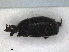  ( - RMNH.INS.1531645)  @11 [ ] by-nc-sa (2024) Unspecified Naturalis Biodiversity Centre