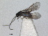  ( - RMNH.INS.1531694)  @11 [ ] by-nc-sa (2024) Unspecified Naturalis Biodiversity Centre