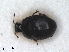  ( - RMNH.INS.1531777)  @11 [ ] by-nc-sa (2024) Unspecified Naturalis Biodiversity Centre