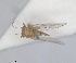  ( - RMNH.INS.1645999)  @11 [ ] by-nc-sa (2024) Unspecified Naturalis Biodiversity Centre