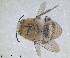  ( - RMNH.INS.1661645)  @11 [ ] by-nc-sa (2024) Unspecified Naturalis Biodiversity Centre
