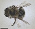  ( - RMNH.INS.1663227)  @11 [ ] by-nc-sa (2024) Unspecified Naturalis Biodiversity Centre