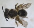  ( - RMNH.INS.1715539)  @11 [ ] by-nc-sa (2025) Unspecified Naturalis Biodiversity Center