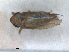  ( - ZMA.INS.5139131)  @11 [ ] by-nc-sa (2024) Unspecified Naturalis Biodiversity Centre