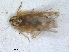  ( - ZMA.INS.5139145)  @11 [ ] by-nc-sa (2024) Unspecified Naturalis Biodiversity Centre