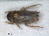  ( - ZMA.INS.5139148)  @11 [ ] by-nc-sa (2024) Unspecified Naturalis Biodiversity Centre