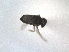  ( - ZMA.INS.5139825)  @11 [ ] by-nc-sa (2024) Unspecified Naturalis Biodiversity Centre