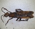  ( - ZMA.INS.5139881)  @11 [ ] by-nc-sa (2024) Unspecified Naturalis Biodiversity Center