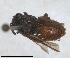  ( - ZMA.INS.5144950)  @11 [ ] by-nc-sa (2024) Unspecified Naturalis Biodiversity Centre