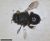  ( - ZMA.INS.5187545)  @11 [ ] by-nc-sa (2024) Unspecified Naturalis Biodiversity Centre