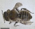  ( - ZMA.INS.5187755)  @11 [ ] by-nc-sa (2024) Unspecified Naturalis Biodiversity Centre