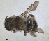  ( - ZMA.INS.5187756)  @11 [ ] by-nc-sa (2024) Unspecified Naturalis Biodiversity Centre