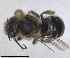  ( - ZMA.INS.5187768)  @11 [ ] by-nc-sa (2024) Unspecified Naturalis Biodiversity Centre