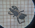  ( - BGE_00459_H09)  @11 [ ] CreativeCommons Attribution NonCommercial ShareAlike (2021) (2025) University of Lodz University of Lodz