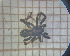  ( - BGE_00460_F02)  @11 [ ] CreativeCommons Attribution NonCommercial ShareAlike (2021) (2025) University of Lodz University of Lodz