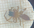  ( - BGE_00463_B12)  @11 [ ] CreativeCommons Attribution NonCommercial ShareAlike (2021) (2025) University of Lodz University of Lodz