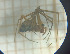  ( - BGE_00463_C01)  @11 [ ] CreativeCommons Attribution NonCommercial ShareAlike (2021) (2025) University of Lodz University of Lodz
