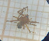  ( - BGE_00463_C02)  @11 [ ] CreativeCommons Attribution NonCommercial ShareAlike (2021) (2025) University of Lodz University of Lodz