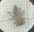  ( - BGE_00463_C03)  @11 [ ] CreativeCommons Attribution NonCommercial ShareAlike (2021) (2025) University of Lodz University of Lodz