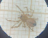  ( - BGE_00463_C06)  @11 [ ] CreativeCommons Attribution NonCommercial ShareAlike (2021) (2025) University of Lodz University of Lodz