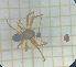  ( - BGE_00463_D03)  @11 [ ] CreativeCommons Attribution NonCommercial ShareAlike (2021) (2025) University of Lodz University of Lodz