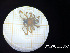  ( - BGE_00464_A09)  @11 [ ] CreativeCommons Attribution NonCommercial ShareAlike (2021) (2025) University of Lodz University of Lodz