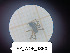  ( - BGE_00464_D01)  @11 [ ] CreativeCommons Attribution NonCommercial ShareAlike (2021) (2025) University of Lodz University of Lodz