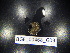  ( - BGE_00468_G09)  @11 [ ] CreativeCommons Attribution NonCommercial ShareAlike (2021) (2021) University of Lodz University of Lodz
