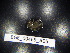  ( - BGE_00469_A05)  @11 [ ] CreativeCommons Attribution NonCommercial ShareAlike (2021) (2021) University of Lodz University of Lodz
