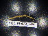  ( - BGE_00470_A04)  @11 [ ] CreativeCommons Attribution NonCommercial ShareAlike (2021) (2021) University of Lodz University of Lodz
