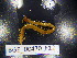  ( - BGE_00470_F12)  @11 [ ] CreativeCommons Attribution NonCommercial ShareAlike (2021) (2021) University of Lodz University of Lodz