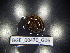  ( - BGE_00470_G06)  @11 [ ] CreativeCommons Attribution NonCommercial ShareAlike (2021) (2021) University of Lodz University of Lodz
