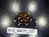  ( - BGE_00470_G07)  @11 [ ] CreativeCommons Attribution NonCommercial ShareAlike (2021) (2021) University of Lodz University of Lodz