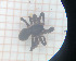  ( - BGE_00808_H11)  @11 [ ] CreativeCommons Attribution NonCommercial ShareAlike (2021) (2025) University of Lodz University of Lodz