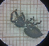  ( - BGE_00809_C04)  @11 [ ] CreativeCommons Attribution NonCommercial ShareAlike (2021) (2025) University of Lodz University of Lodz