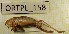  ( - BGE_00455_C11)  @11 [ ] CreativeCommons - Attribution Non-Commercial Share-Alike (2025) KZBiH, University of Lodz Department of Invertebrate Zoology and Hydrobiology, University of Lodz